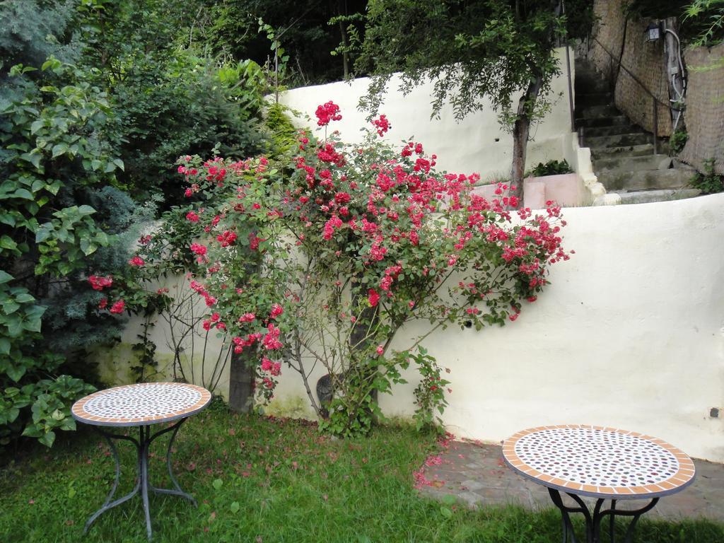 Dominic Boutique Apartment Sighisoara Phòng bức ảnh